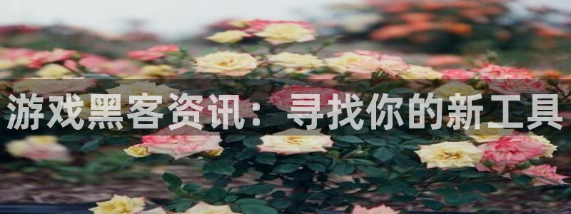 奇亿娱乐注册官方登录app：游戏黑客资讯：寻找你的新工具