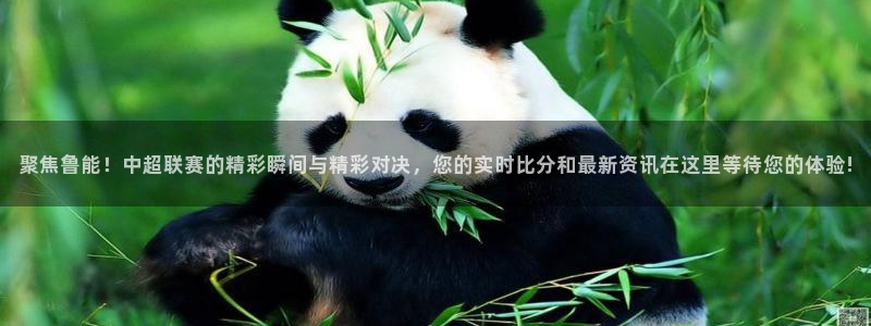 咪咕体育免费直播：聚焦鲁能！中超联赛的精彩瞬间与精彩对决，您的实时比分和最新资讯在这里等待您的体验!