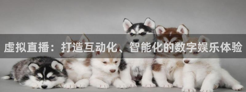 咪咕体育直播在线：虚拟直播：打造互动化、智能化的数字娱乐体验