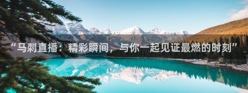 咪咕咪咕体育直播：“马刺直播：精彩瞬间，与你一起见证最燃的时刻”