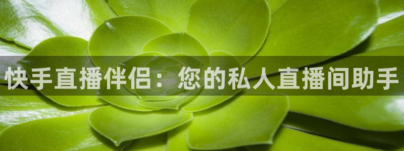 咪咕体育app官方下载：快手直播伴侣：您的私人直播间助手