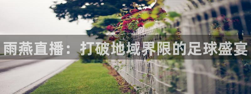 咪咕篮球赛现场直播：雨燕直播：打破地域界限的足球盛宴
