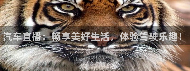 咪咕视频体育直播郑钦文今天：汽车直播：畅享美好生活，体验驾驶乐趣！
