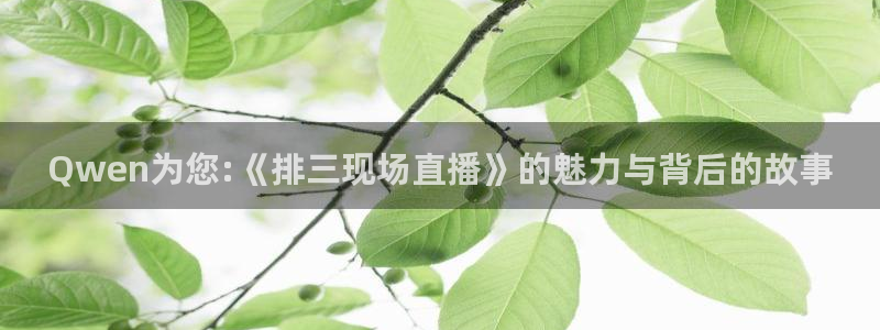 咪咕视频体育直播免费：Qwen为您:《排三现场直播》的魅力与背后的故事