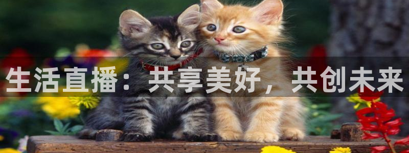 咪咕视频下载免费下载：生活直播：共享美好，共创未来