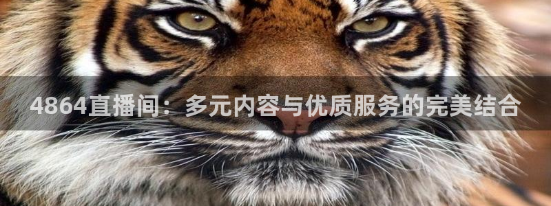 手机咪咕直播：4864直播间：多元内容与优质服务的完美结合