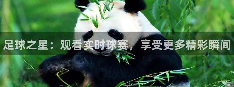 咪咕视频免费版：足球之星：观看实时球赛，享受更多精彩瞬间